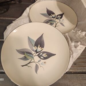 Elegant Leaf Design Dinner Plates 10 In Pmate Silver Trim